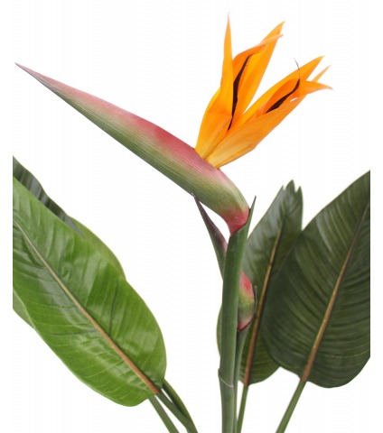 Strelitzia artificiel