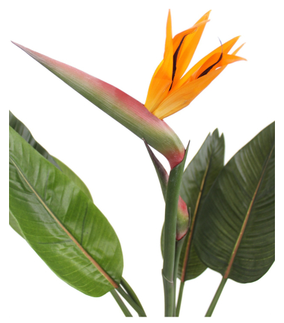 Strelitzia artificiel