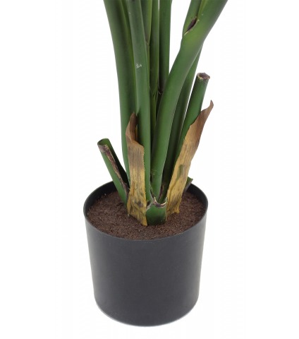 Strelitzia artificiel