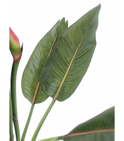 Strelitzia artificiel