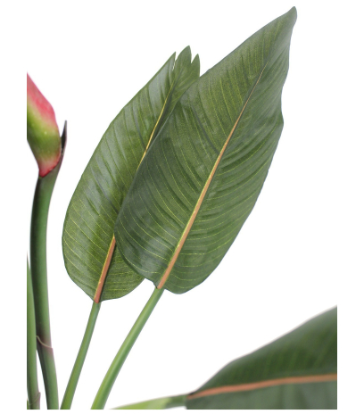 Strelitzia artificiel