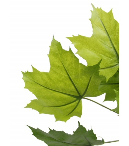 Feuille de platane artificielle