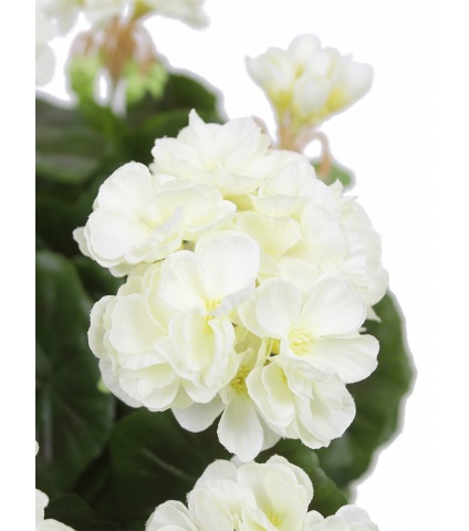 Géranium artificiel blanc