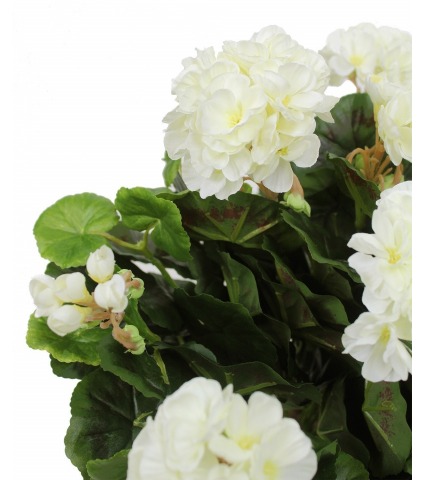 Géranium artificiel blanc