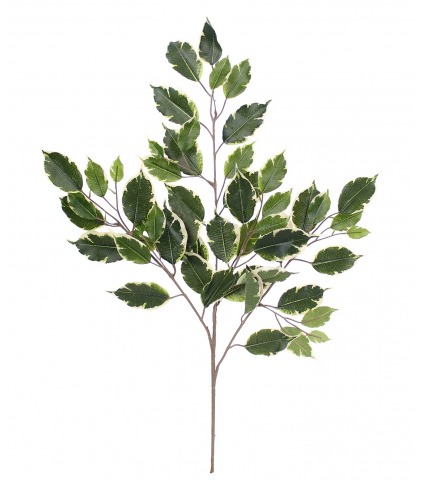 Feuille de ficus exotica artificielle