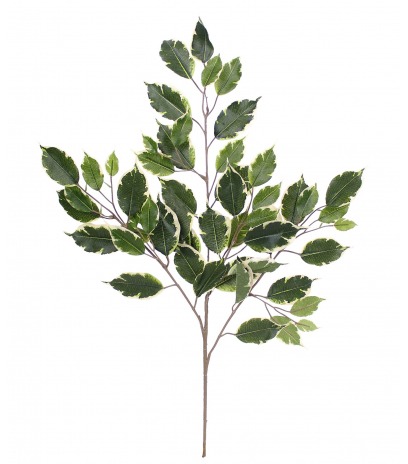 Feuille de ficus exotica artificielle