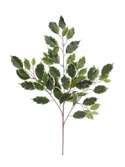 Feuille de ficus exotica artificielle