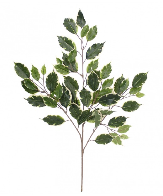 Feuille de ficus exotica artificielle