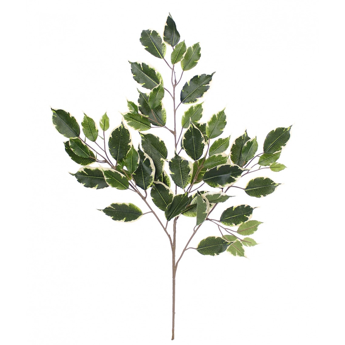 Feuille de ficus exotica artificielle Feuille de ficus exotica artificielle