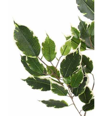 Feuille de ficus exotica artificielle