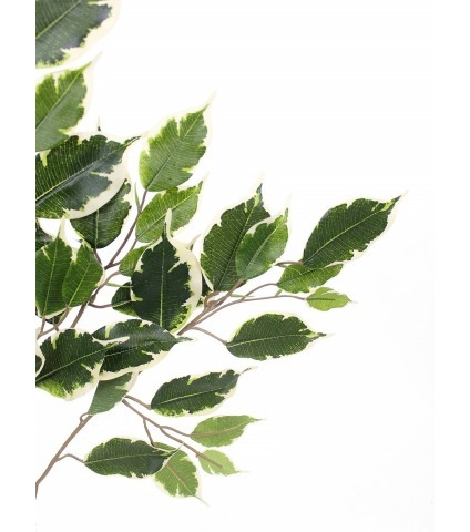 Feuille de ficus exotica artificielle