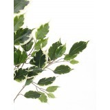 Feuille de ficus exotica artificielle