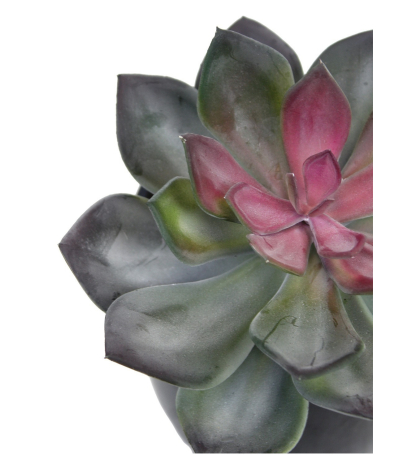 Echeveria artificiel vert et rouge