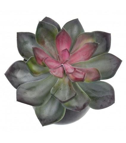 Echeveria artificiel vert et rouge