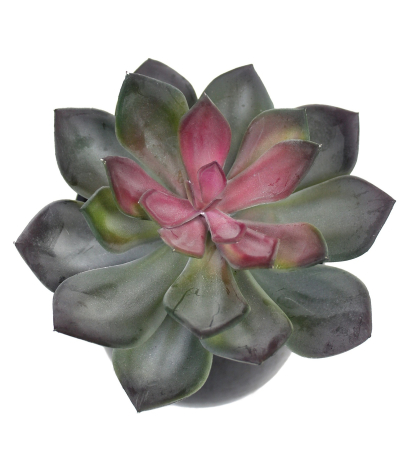 Echeveria artificiel vert et rouge