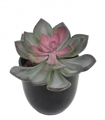 Echeveria artificiel vert et rouge