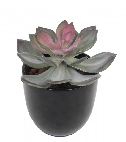 Echeveria artificiel vert et rouge