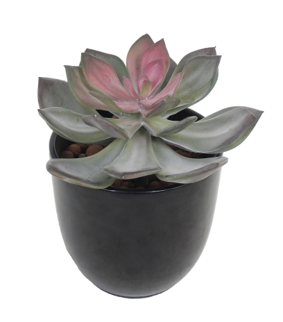 Echeveria artificiel vert et rouge