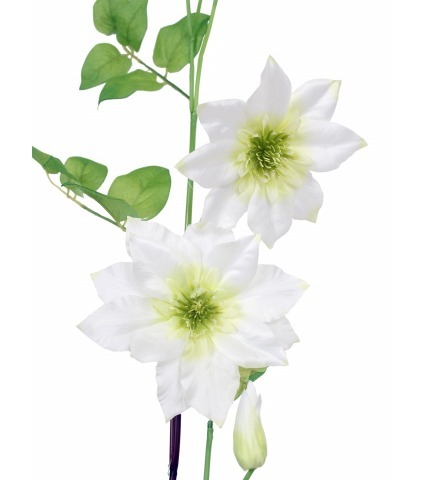 Tige de clématite artificielle blanche