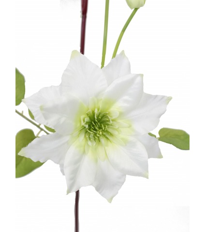 Tige de clématite artificielle blanche