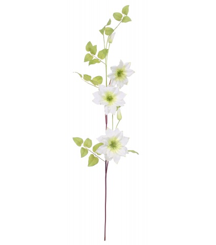 Tige de clématite artificielle blanche