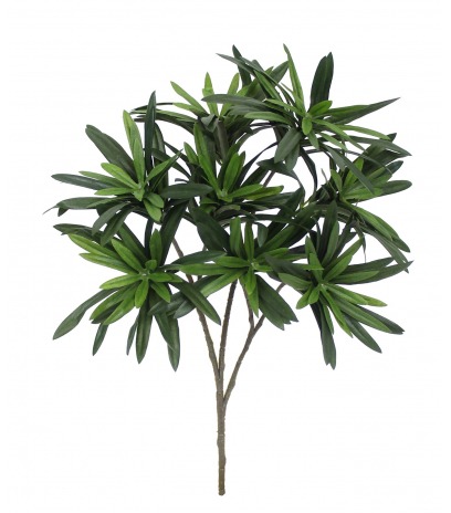 Feuille de podocarpus artificielle