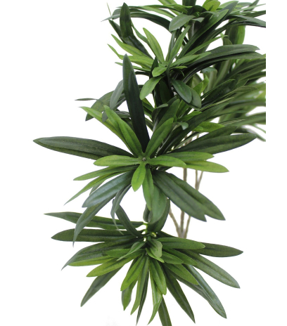 Feuille de podocarpus artificielle