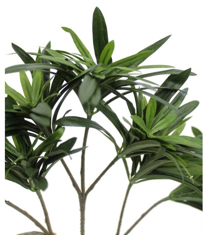 Feuille de podocarpus artificielle