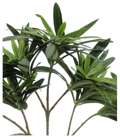 Feuille de podocarpus artificielle
