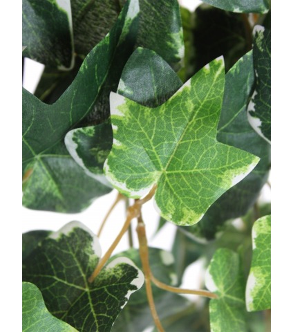 Grand lierre panaché artificiel