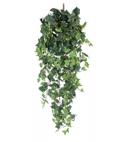 Grand lierre panaché artificiel