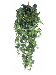 Grand lierre panaché artificiel