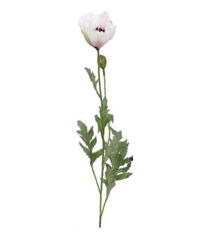 Pavot artificiel blanc