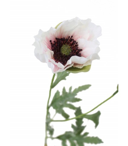 Pavot artificiel blanc