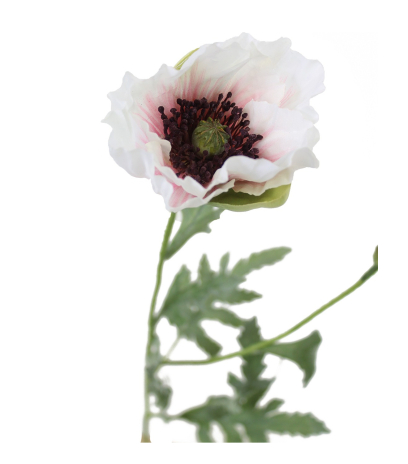 Pavot artificiel blanc