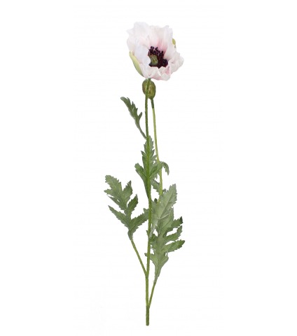 Pavot artificiel blanc