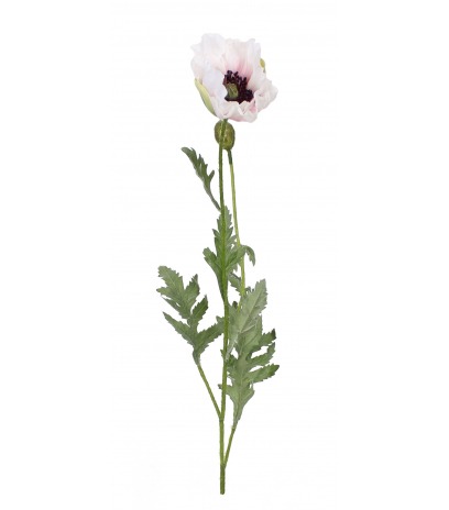 Pavot artificiel blanc