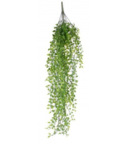 Callisie rampante artificielle