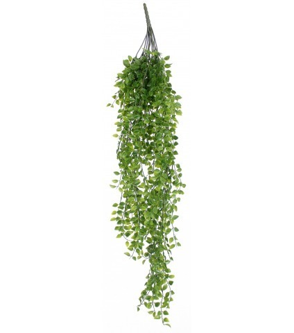 Callisie rampante artificielle