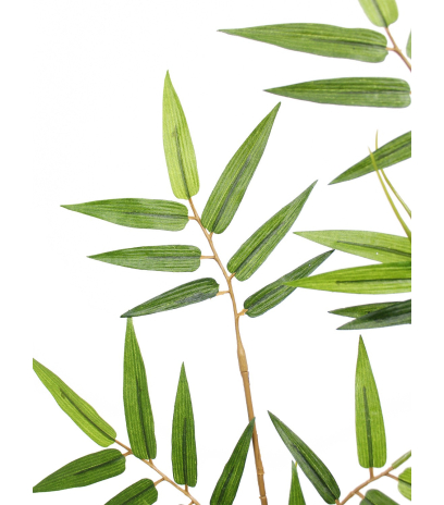 Feuille de bambou oriental