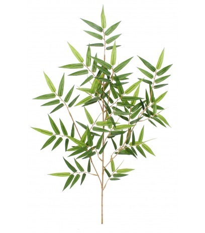 Feuille de bambou oriental