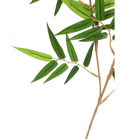 Feuille de bambou oriental