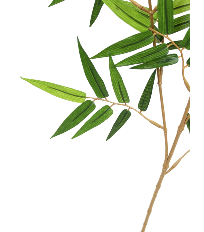 Feuille de bambou oriental