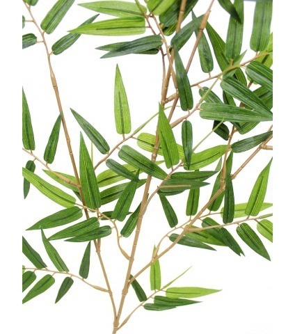 Feuille de bambou oriental