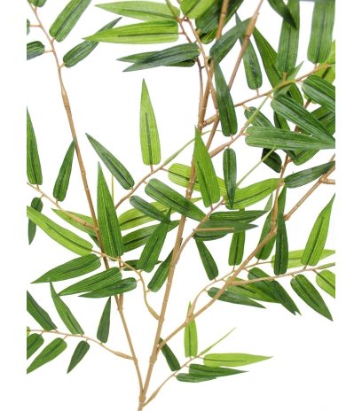 Feuille de bambou oriental