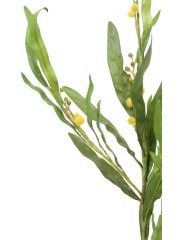 Mimosa artificiel palme d’or