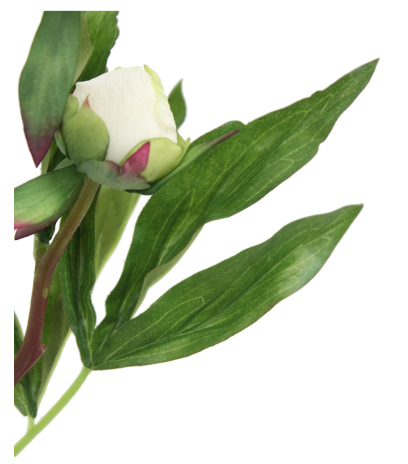 Pivoine herbacée artificielle
