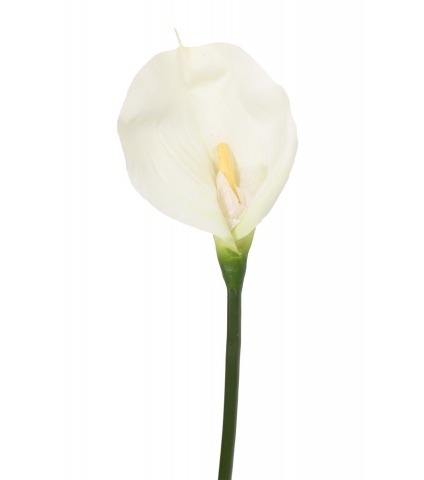 Calla artificielle blanche