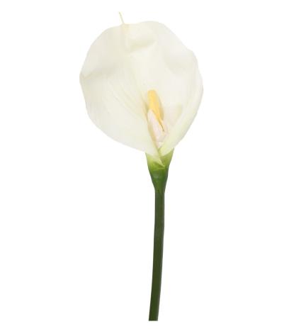 Calla artificielle blanche