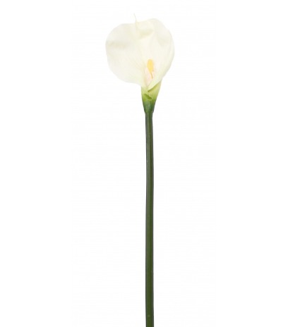 Calla artificielle blanche